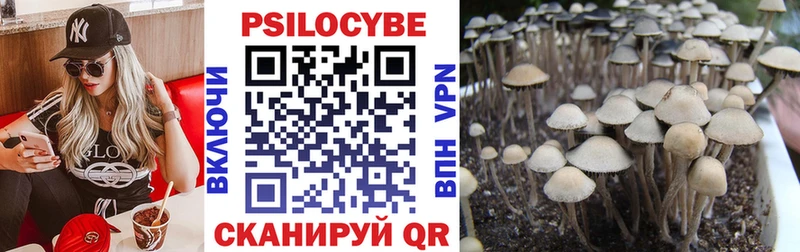 Галлюциногенные грибы Psilocybe  Купить закладки  Тара 